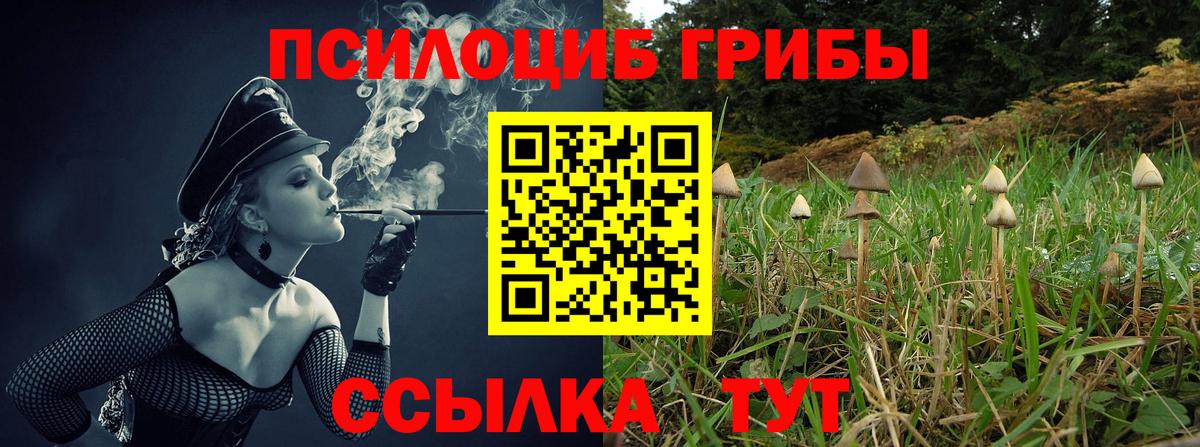 Галлюциногенные грибы MAGIC MUSHROOMS Волхов
