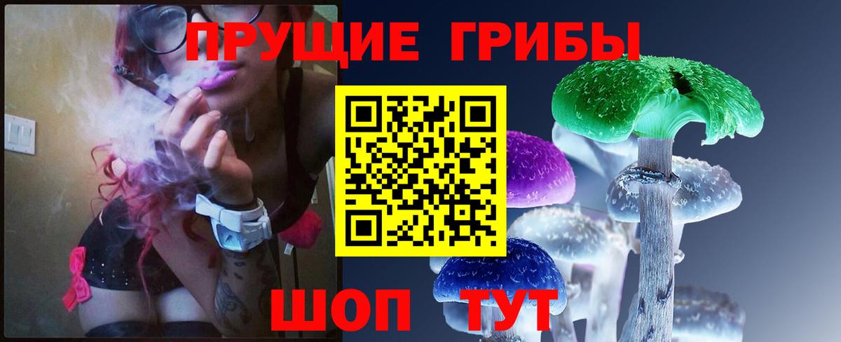 Волхов  Псилоцибиновые грибы MAGIC MUSHROOMS  Вход с VPN 