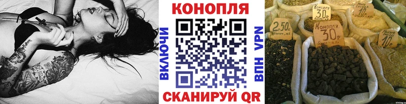 Бошки Шишки марихуана  Волхов 