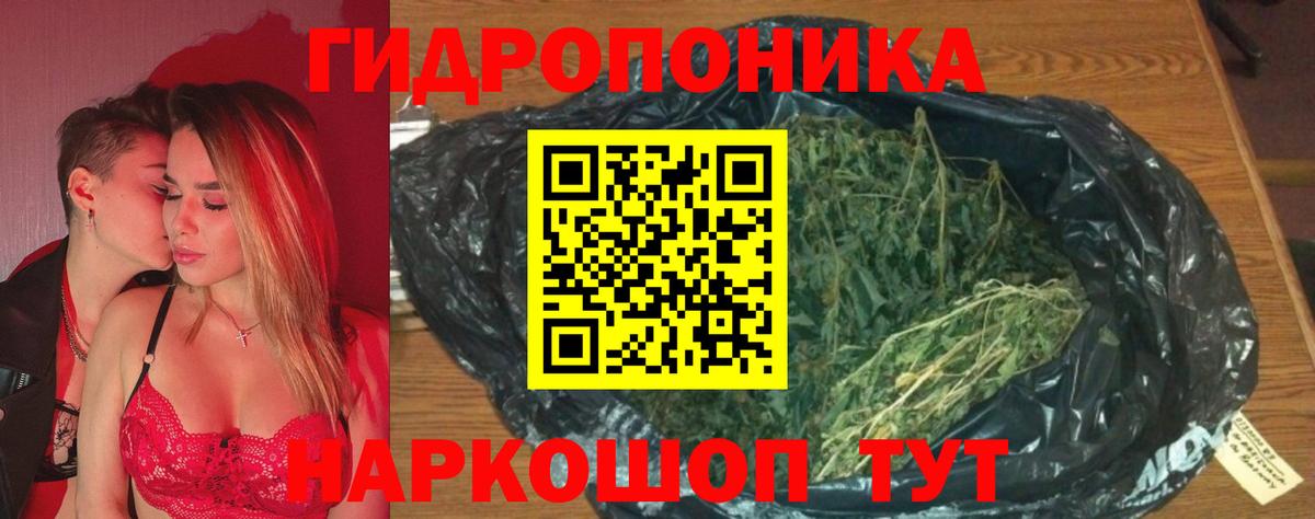 Волхов  Бошки Шишки THC 21%  Канабис LSD WEED  Вход с VPN 